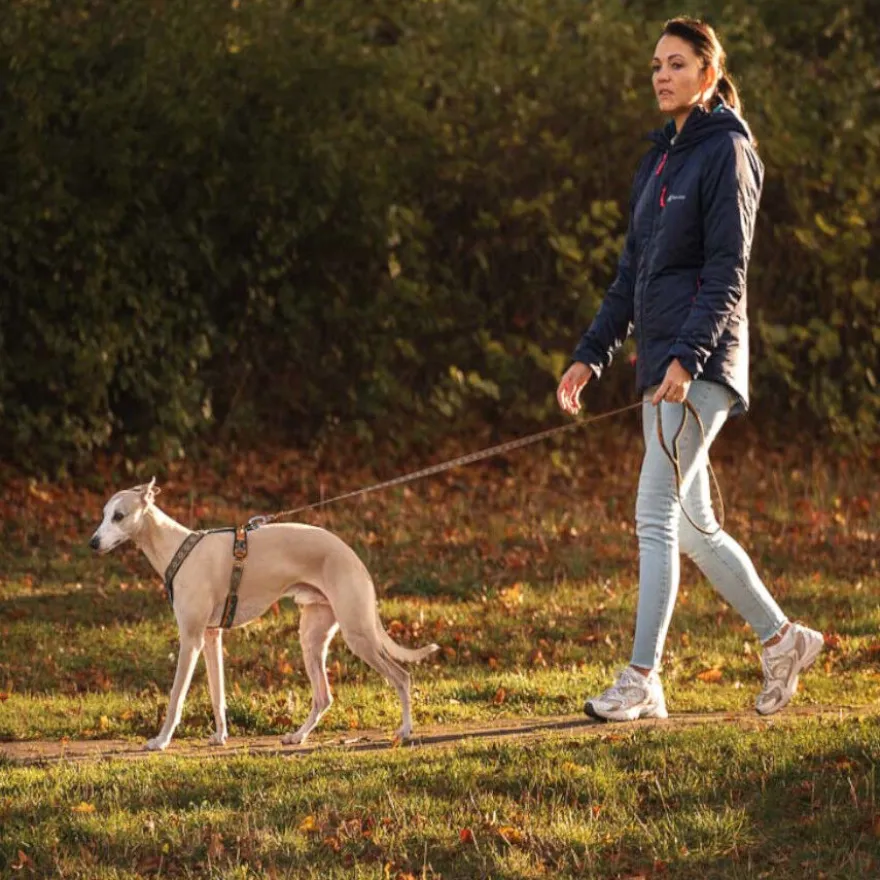 Non-stop Dogwear Correa Turquesa y Roble para perros