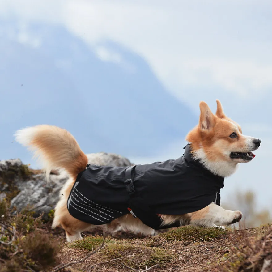 Non-stop dogwear Fjord Chubasquero Impermeable Negro para perros