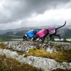 Non-stop dogwear Fjord Chubasquero Impermeable Azul para perros