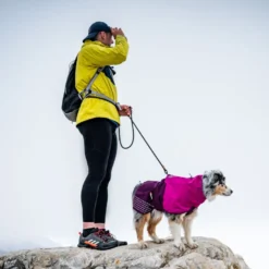 Non-stop dogwear Fjord Chubasquero Impermeable Púrpura para perros