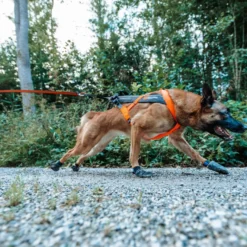 Non-stop dogwear Freemotion Arnés Negro y Naranja para perros