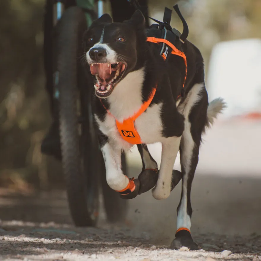 Non-stop dogwear Freemotion Arnés Negro y Naranja para perros
