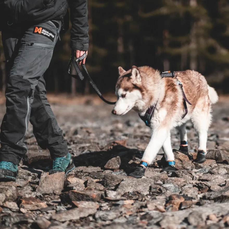 Non-stop dogwear Protector Botín Negro y Naranja para perros