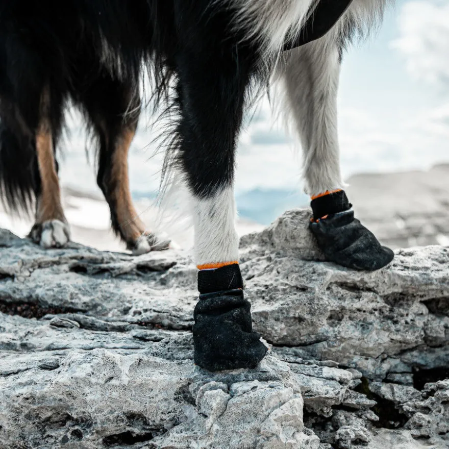 Non-stop dogwear Protector Botín Negro y Naranja para perros
