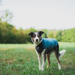 Non-stop Dogwear Trail Quest Jersey Polar Azul y Gris para perros