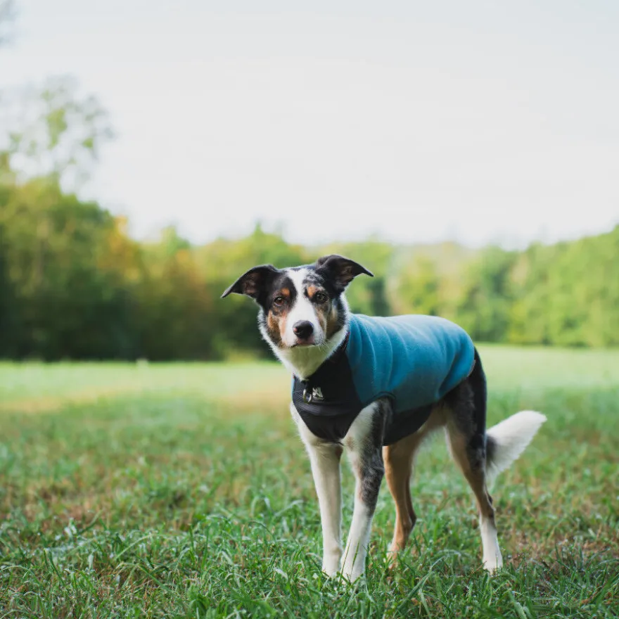 Non-stop Dogwear Trail Quest Jersey Polar Azul y Gris para perros