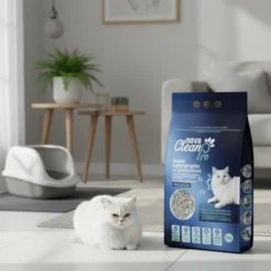 Nova Clean Pro Arena Probiotica para gatos