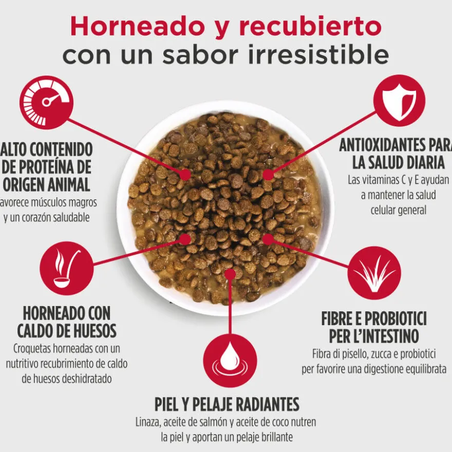 Nulo Baked & Coated Cordero con Cerdo y Ternera pienso para perros