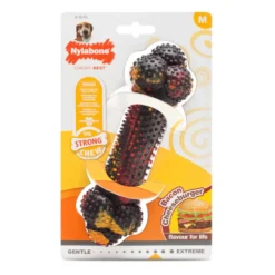 Nylabone Cheeseburger Hueso Mordedor para perros