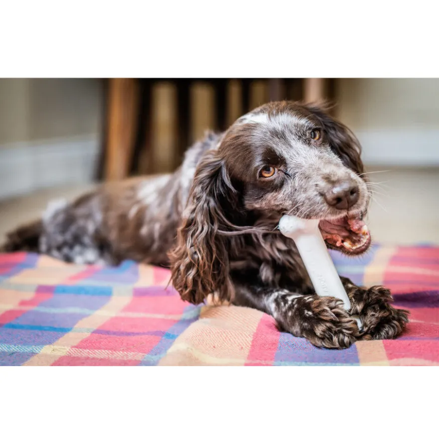 Nylabone Extreme Chew Pollo Hueso Mordedor para perros