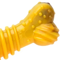 Nylabone Extreme Chew Texture Hueso Mordedor Resistente para perros