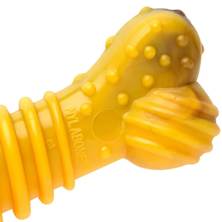 Nylabone Extreme Chew Texture Hueso Mordedor Resistente para perros