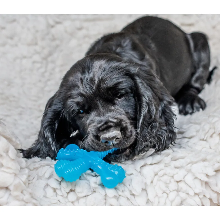 Nylabone Hueso X Mordedor Sabor a Carne para cachorros