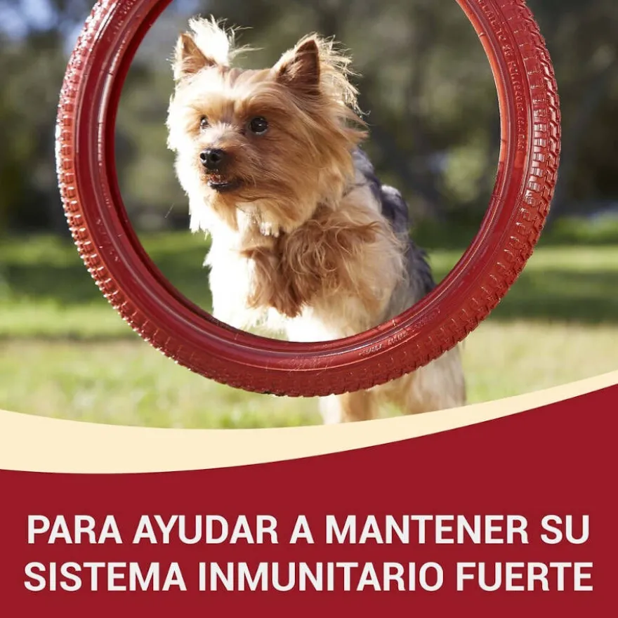 One Adult Mini Small Pollo y Cordero en Salsa sobre para perros