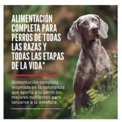 Orijen Fit&Trim pienso para perros
