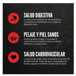 Orijen Kitten Aves y Pescado pienso para gatos