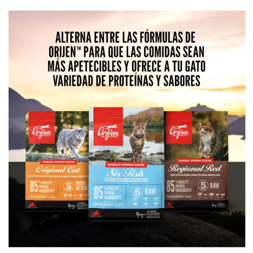 Orijen Original pienso para gatos y gatitos