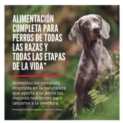 Orijen Original pienso para perros