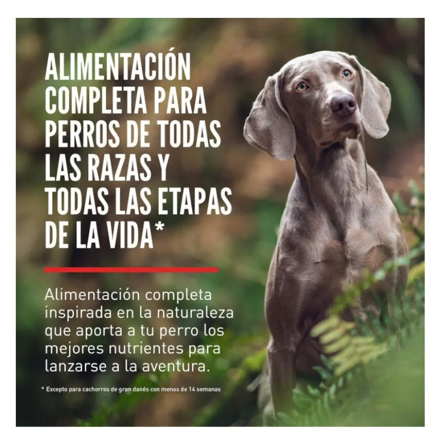 Orijen Original pienso para perros