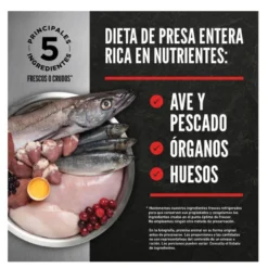 Orijen Regional Red pienso para gatos y gatitos