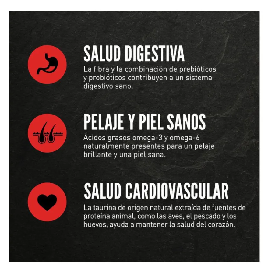 Orijen Regional Red pienso para gatos y gatitos