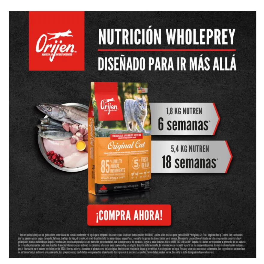 Orijen Regional Red pienso para gatos y gatitos
