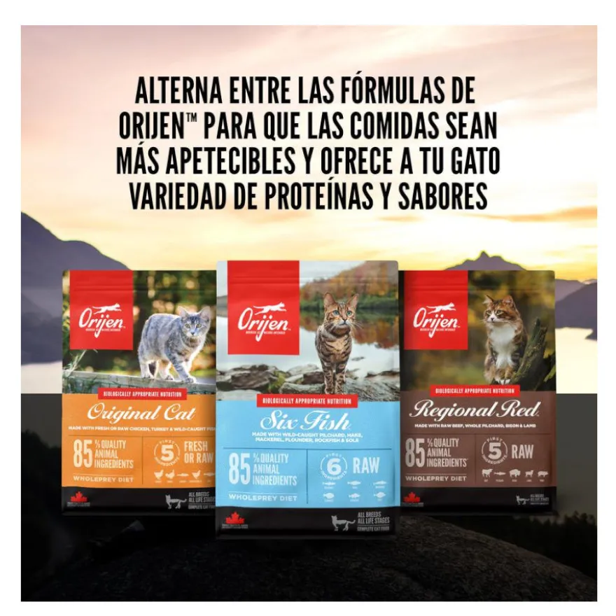 Orijen Regional Red pienso para gatos y gatitos
