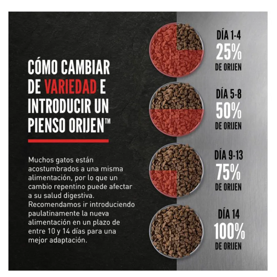 Orijen Six Fish pienso para gatos y gatitos