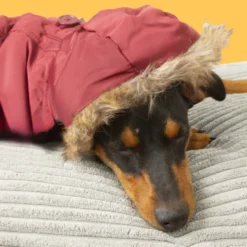 Outech Abrigo Granate con Capucha para perros