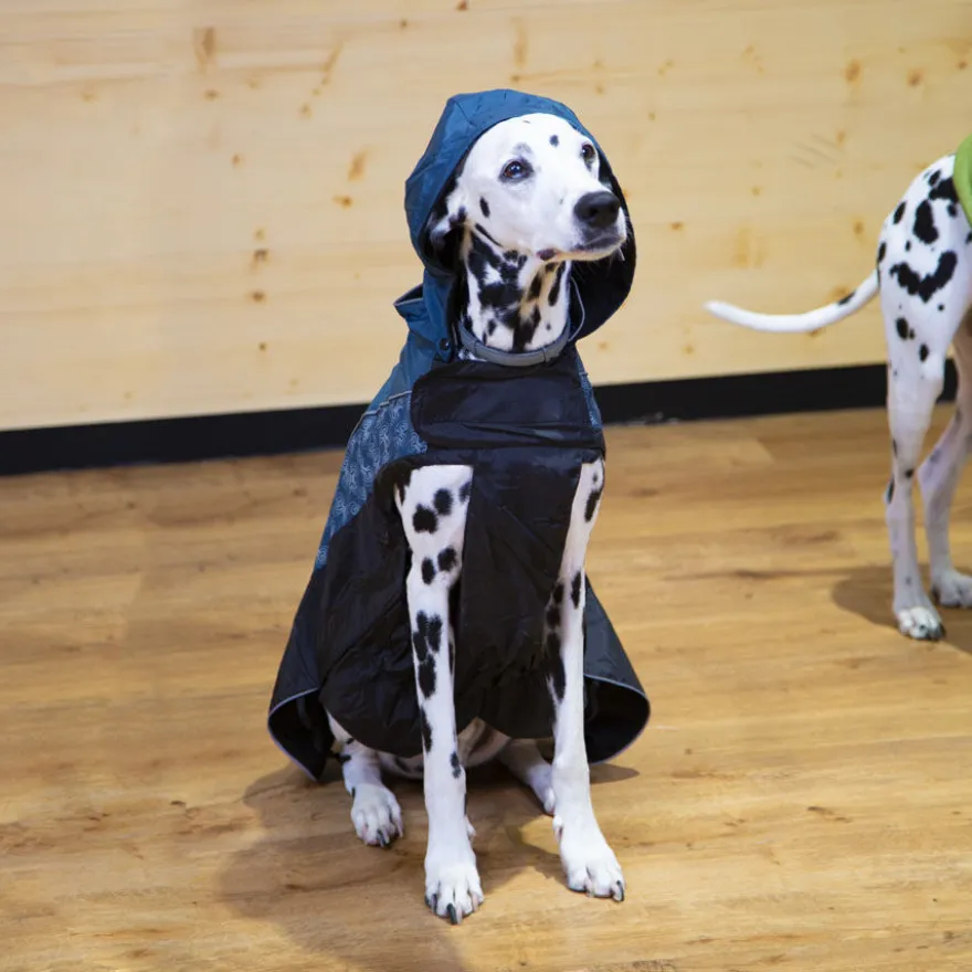 Outech Chubasquero con Estampado de Huesos para perros