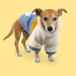 Outech Colorblock Pijama para perros