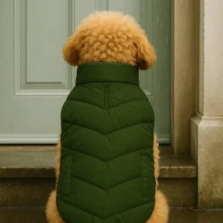 Outech Puffer verde con bolsillos para perros