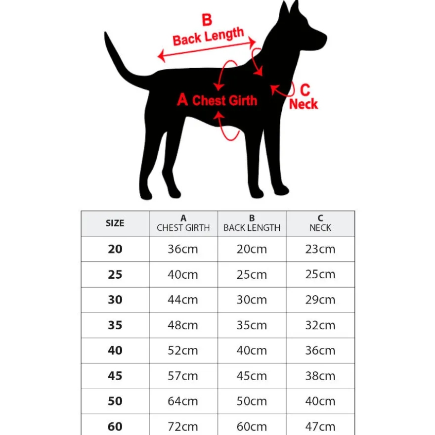 Outech Sudadera Oso Polar para perros