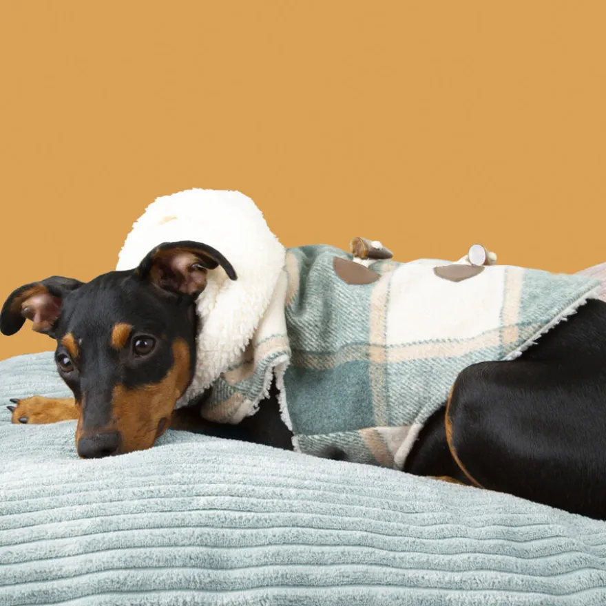 Outech Trenca Azul para perros