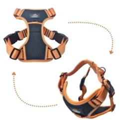 Outech X-perience Arnés de Coche para perros