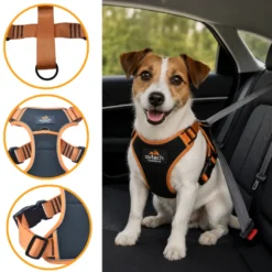 Outech X-perience Arnés de Coche para perros