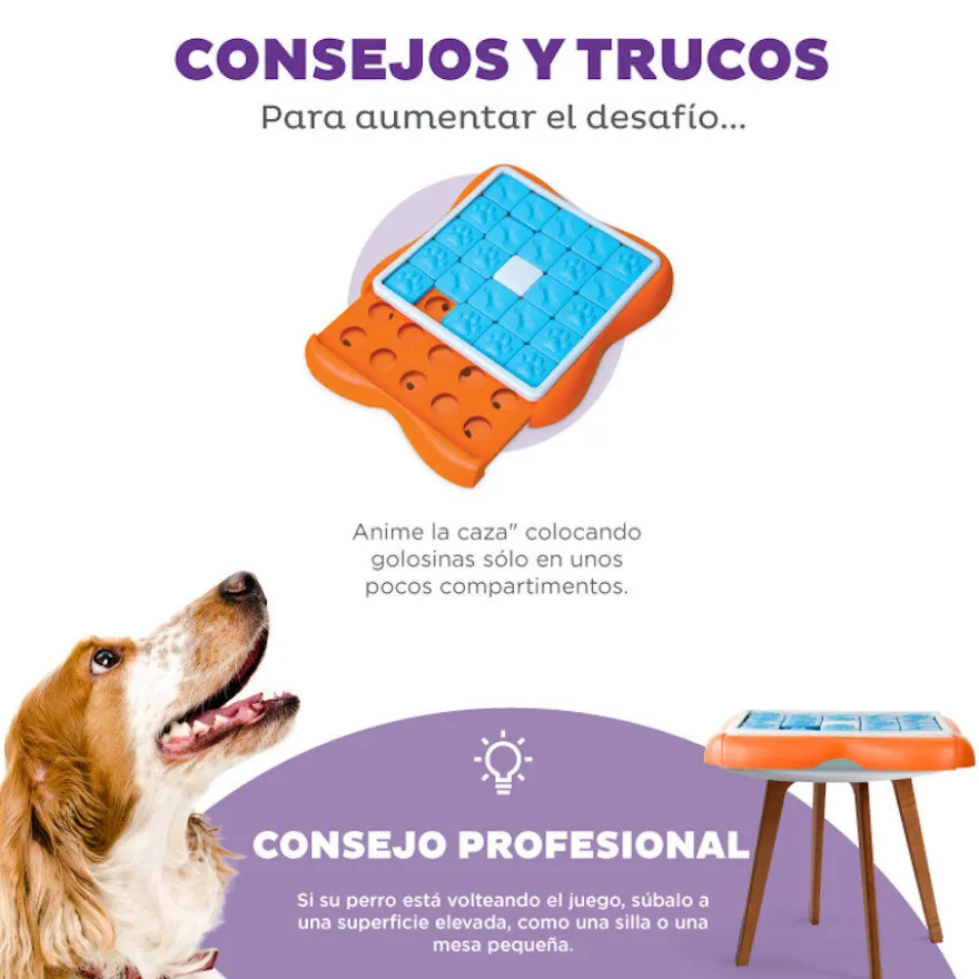 Outward Hound Challenge Slider Rompecabezas de Inteligencia para cachorros