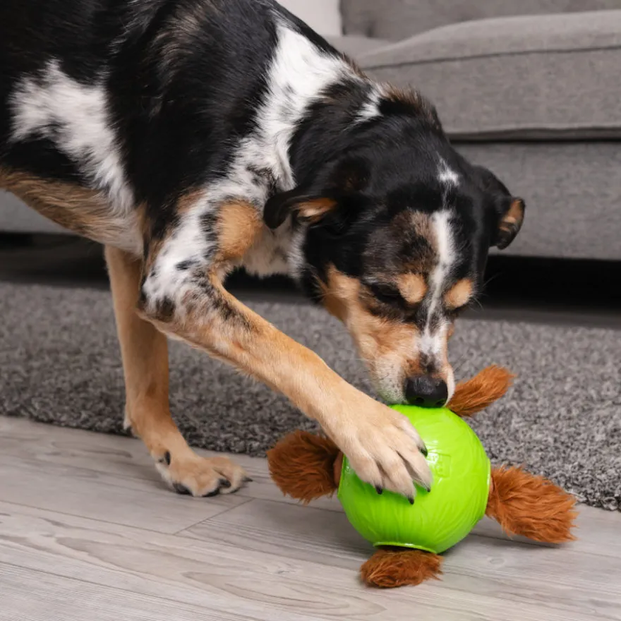 Outward Hound Snuffle n’ Treat Pelota Interactiva Portagolosinas para perros