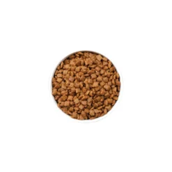 Ownat Ultra Mature Pienso Pollo y Pavo para gatos