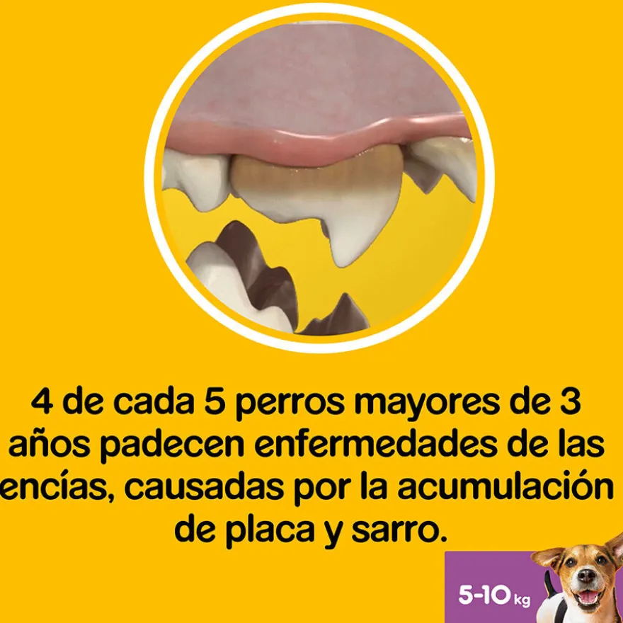 Pedigree Dentastix Fresh Snacks Dentales para Perros Pequeños