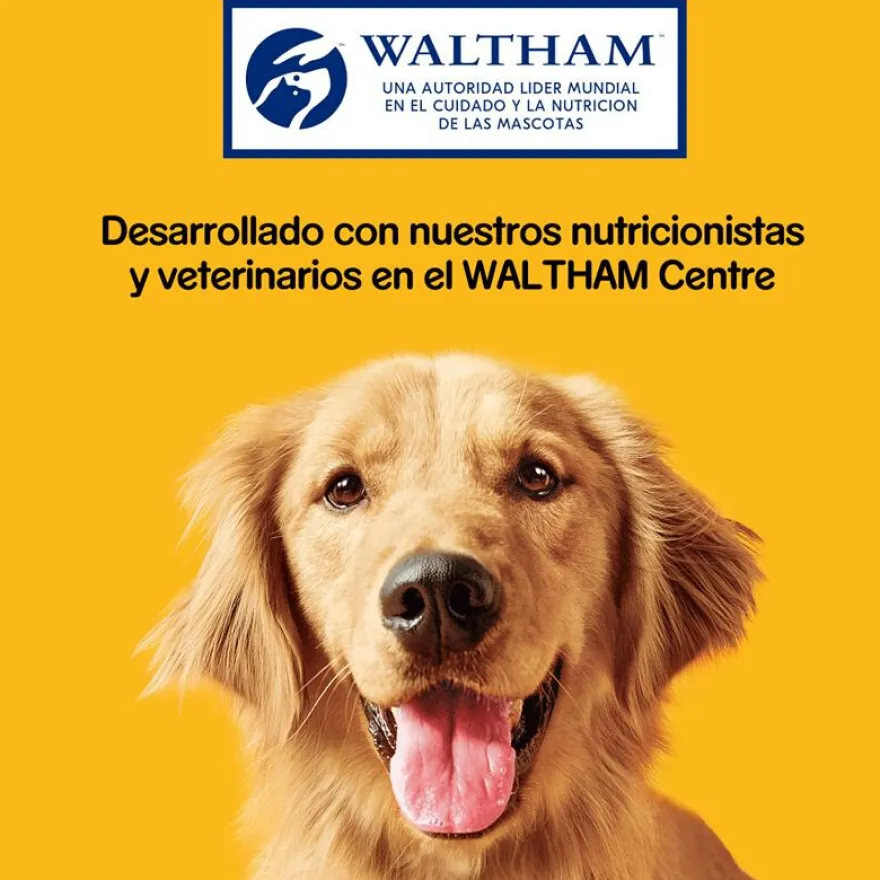 Pedigree Rodeo Snack Buey para Perros