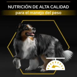 Pro Plan Adult All Sizes Light/Sterilised Pescado Blanco pienso para perros