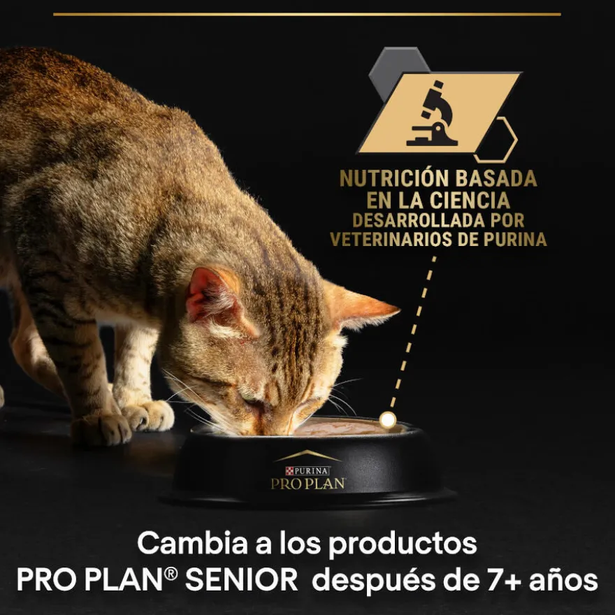 Pro Plan Adult Delicate Digestion Pavo y Pescado del Océano en Salsa sobre para gatos - Multipack
