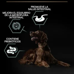 Pro Plan Adult Large Athletic Digestión Cordero pienso para perros