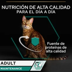 Pro Plan Adult Maintenance Terrina rico en pollo para gatos