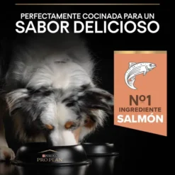Pro Plan Adult Medium Sensitive Skin Salmón pienso para perros