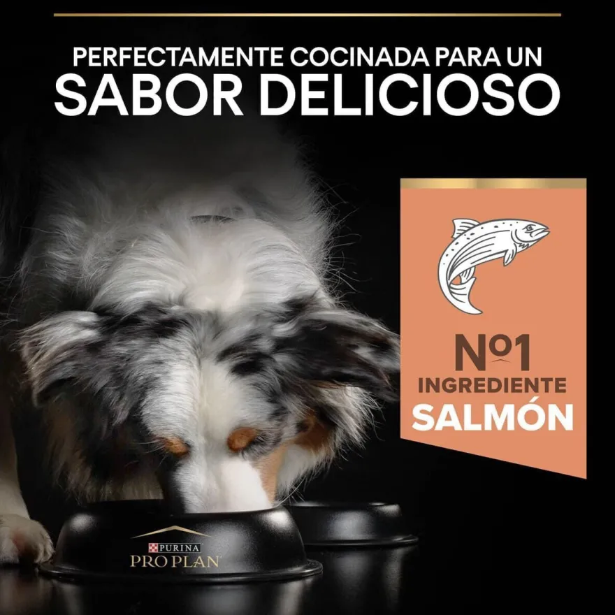 Pro Plan Adult Medium Sensitive Skin Salmón pienso para perros