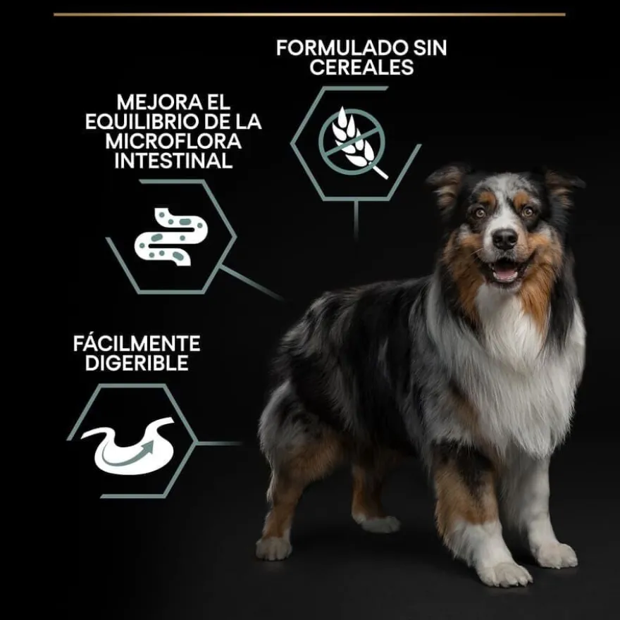 Pro Plan Adult Medium y Large Digestión Pavo pienso para perros