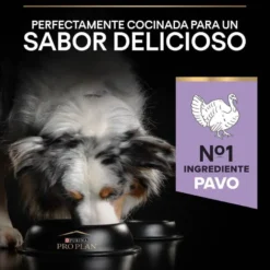 Pro Plan Adult Medium y Large Digestión Pavo pienso para perros
