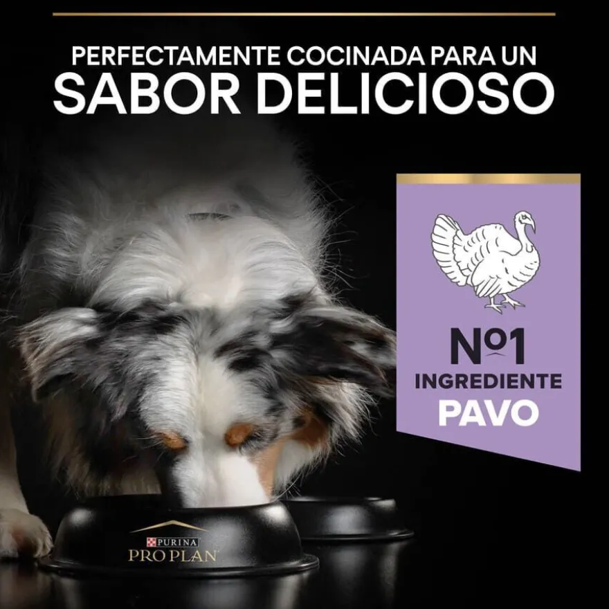 Pro Plan Adult Medium y Large Digestión Pavo pienso para perros